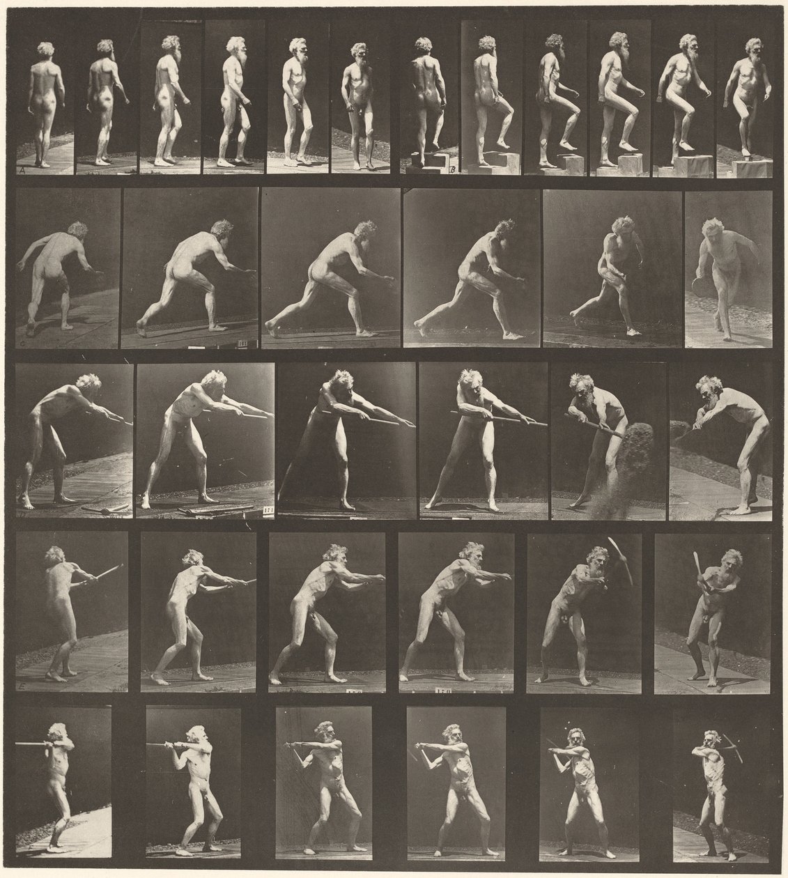 Targa numero 521. A: Camminata. B: gradino ascendente. C. Lancio del disco. D: Uso della pala. E, F. Uso del piccone, 1887 (foto) da Eadweard Muybridge