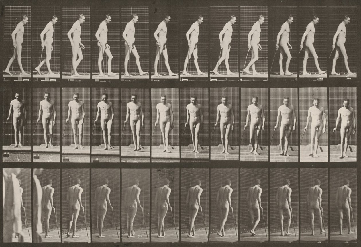 Tavola numero 559. Paraplegia parziale, camminare con un bastone da Eadweard Muybridge