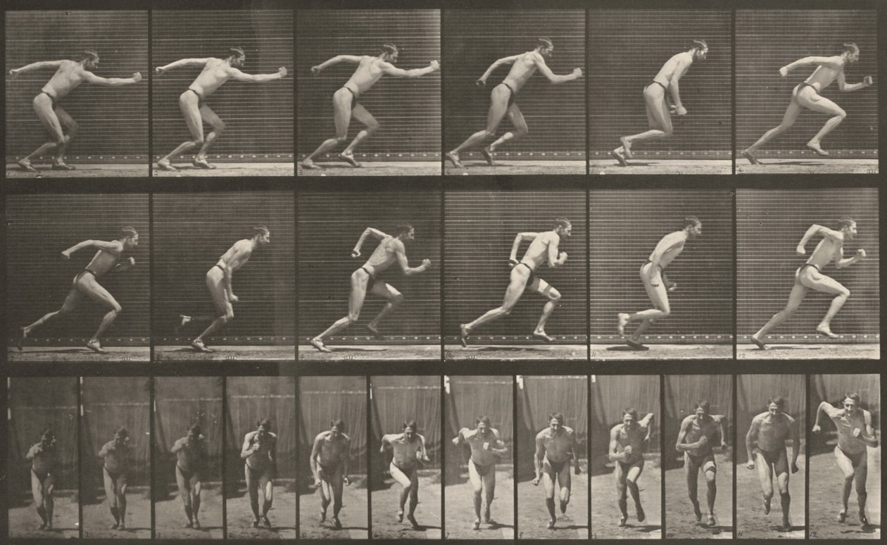 Tavola numero 59. Partenza per una corsa da Eadweard Muybridge