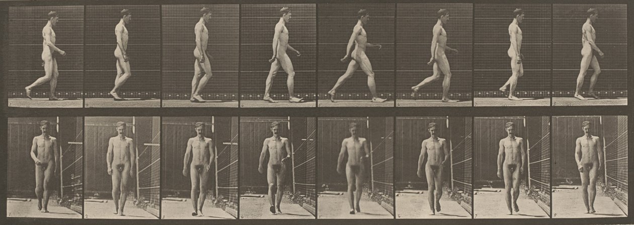 Piastra numero 5. A piedi, 1887 (foto) da Eadweard Muybridge