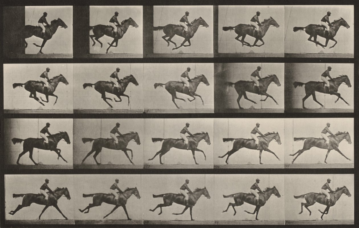 Tavola numero 627. «Annie G.» al galoppo da Eadweard Muybridge