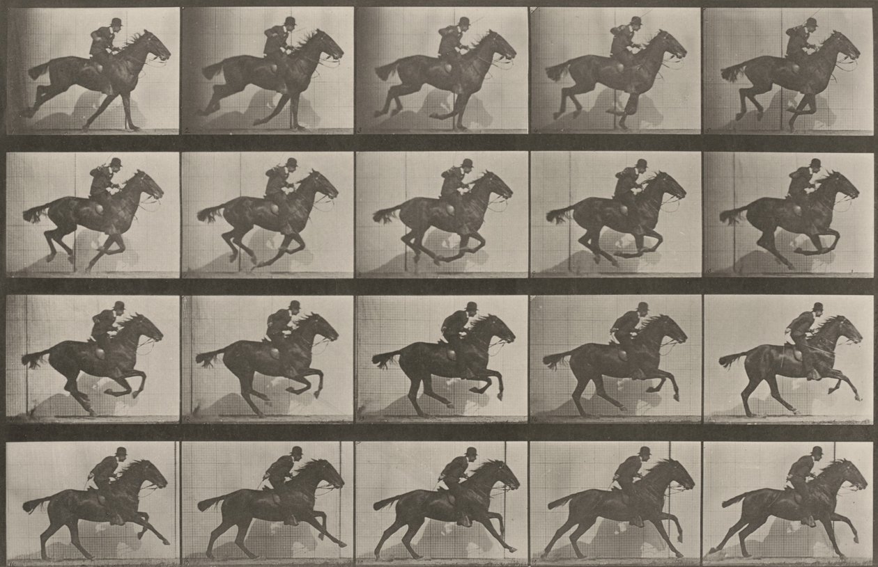 Tavola numero 628. "Daisy" al galoppo da Eadweard Muybridge