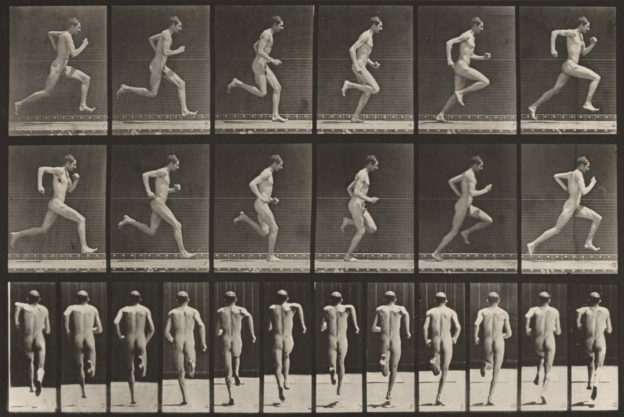 Tavola numero 62. Corsa a piena velocità da Eadweard Muybridge