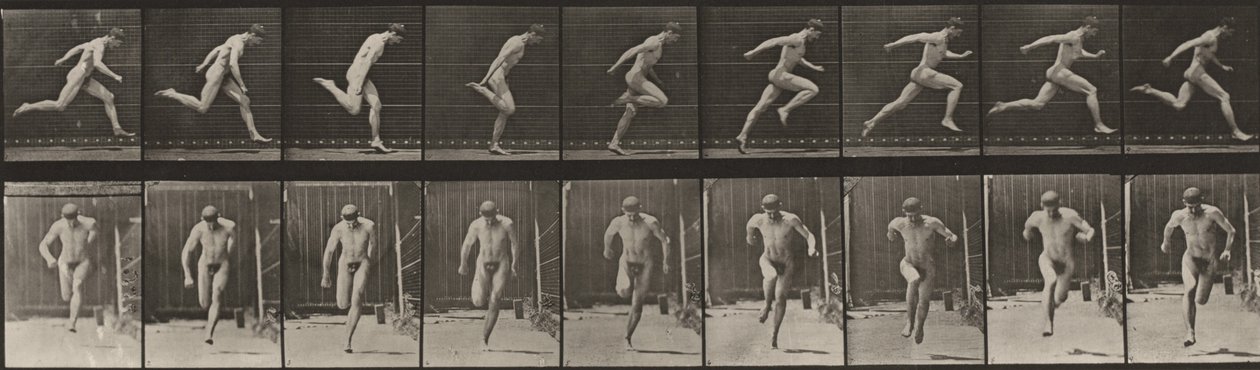 Tavola numero 68. Corsa da Eadweard Muybridge