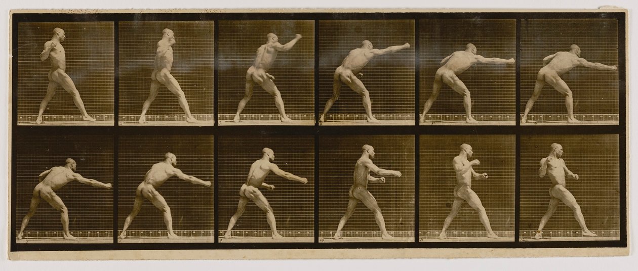 Pugile che sferra un colpo, dal libro Locomozione animale da Eadweard Muybridge