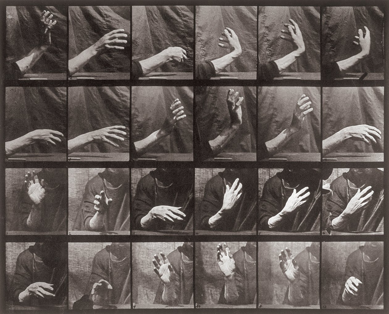 Sequenza con movimento della mano, tavola 535 da Animal Locomotion da Eadweard Muybridge