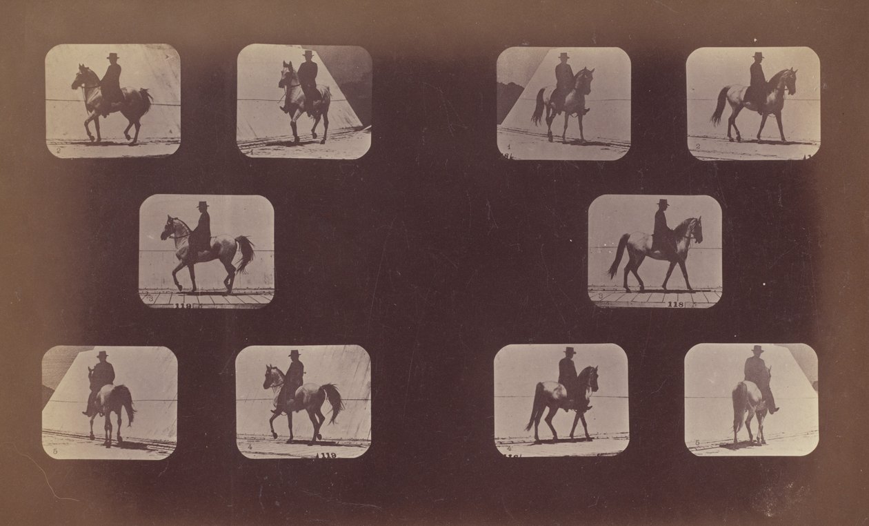Studi di scorci. Cavalli. Camminare. Maometto. N. 119-120 da Eadweard Muybridge