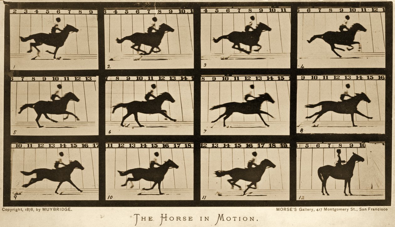 Il cavallo in movimento, serie 