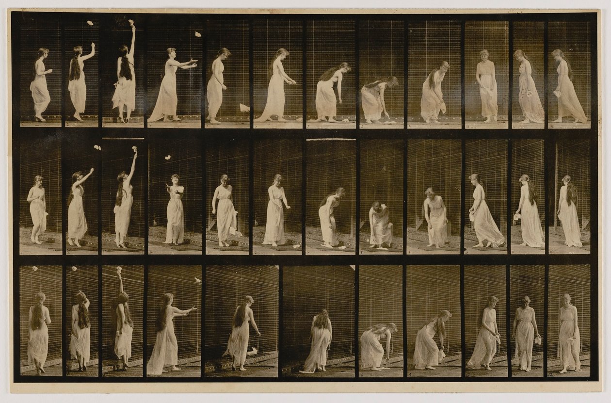 Donna che lancia un fazzoletto in aria e lo raccoglie, dal libro Locomozione animale da Eadweard Muybridge
