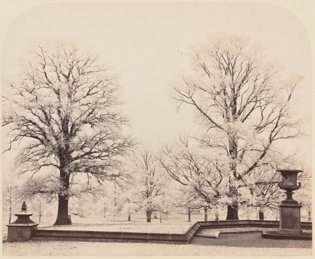 Brina, una scena di parco, 1862 (foto) da Earl of Caithness