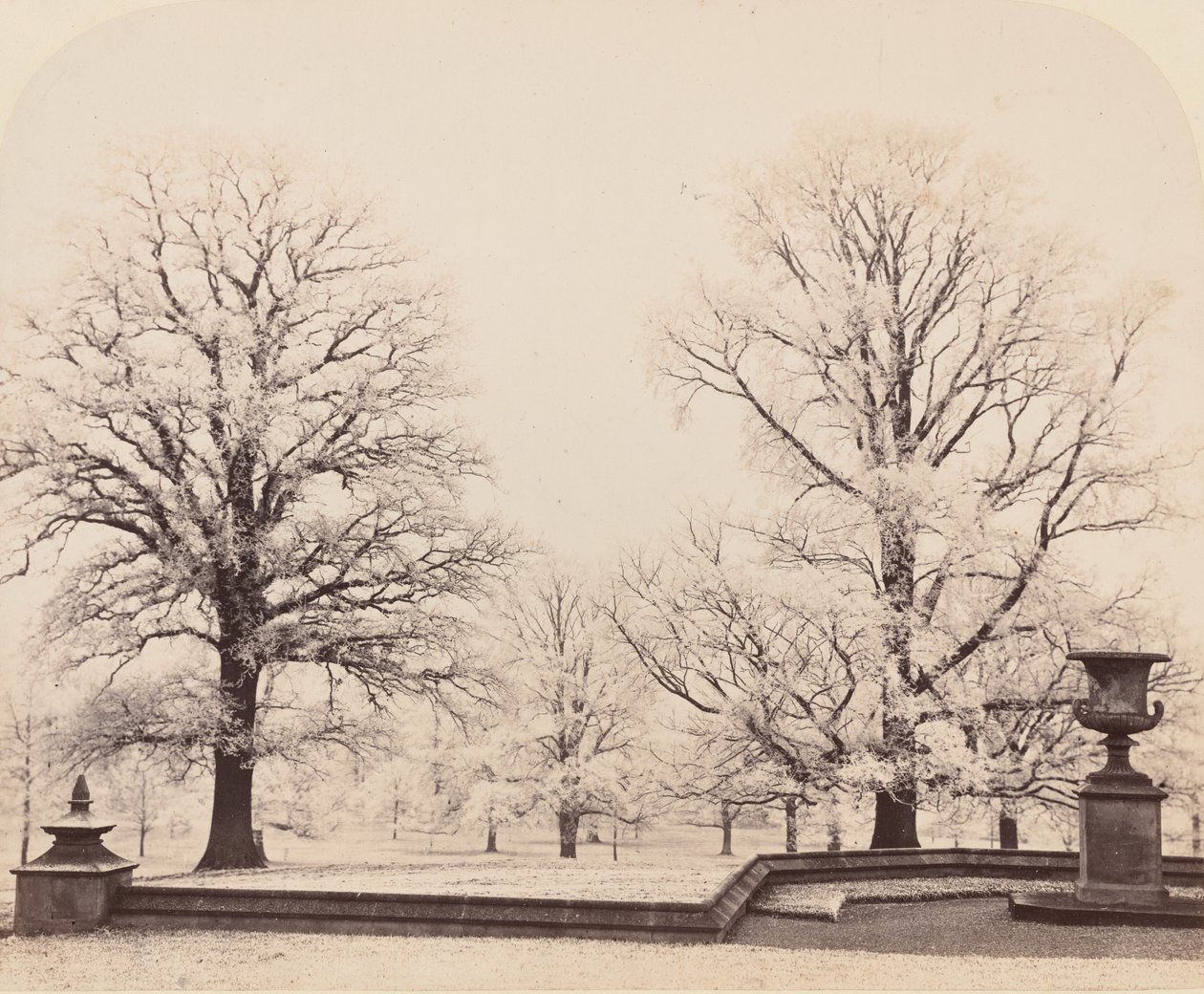 Brina, una scena di parco, 1862 da Earl of Caithness James Sinclair