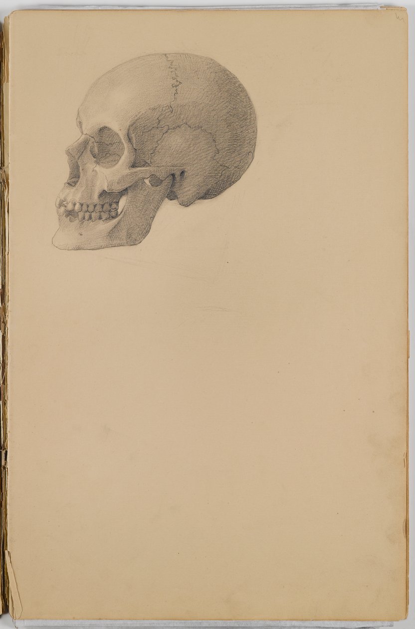 Libro di schizzi di anatomia da Eastman Johnson