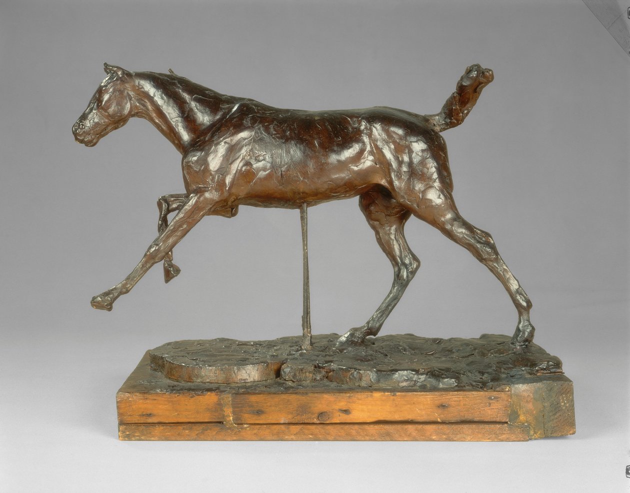 Cavallo al Galoppo sul Piede Destro, fine 1880 da Edgar Degas