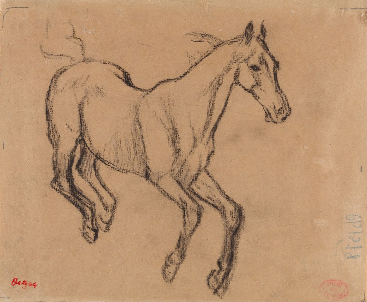 Cavallo al galoppo da Edgar Degas