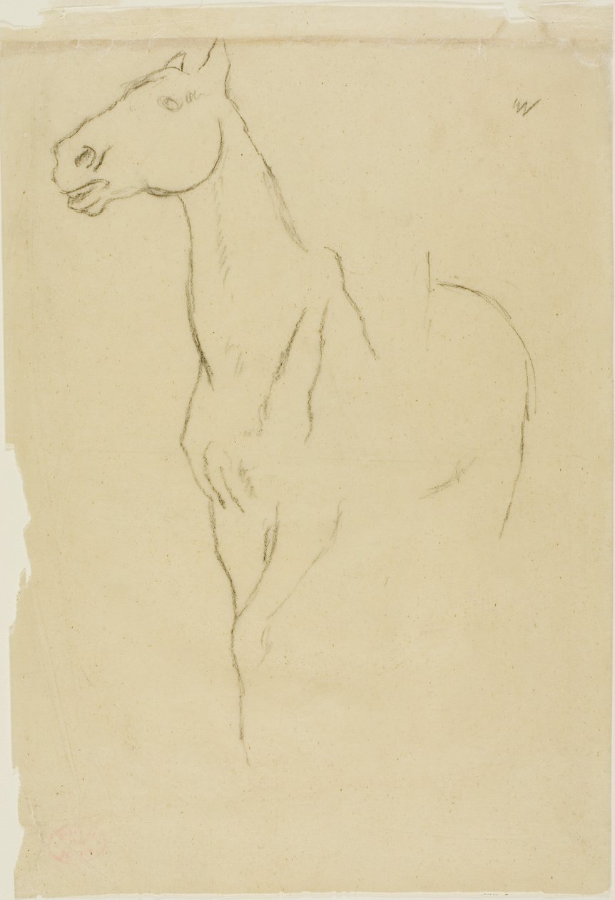Cavallo girato a tre quarti da Edgar Degas