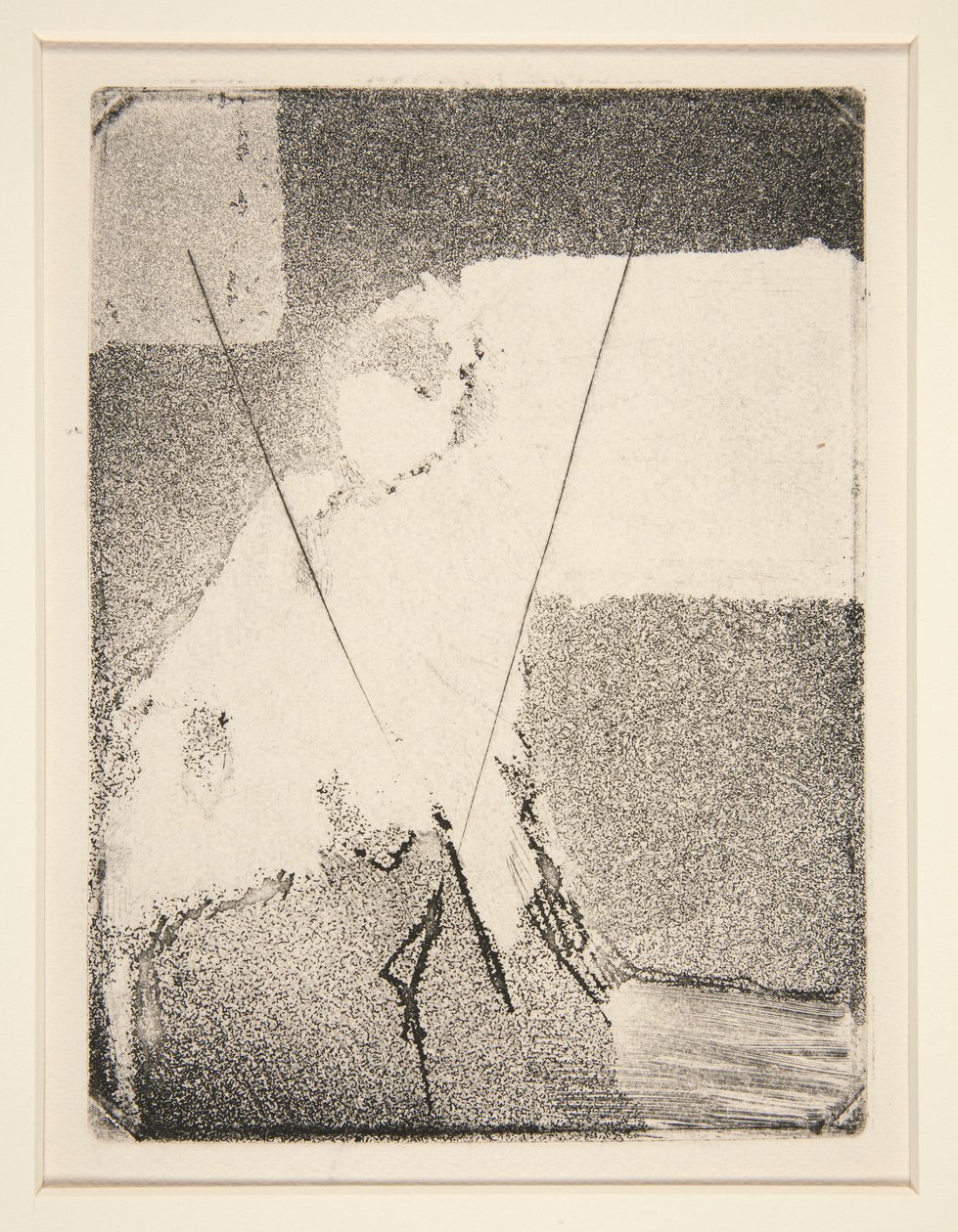 Donna seduta con cappello e scialle da Edgar Degas