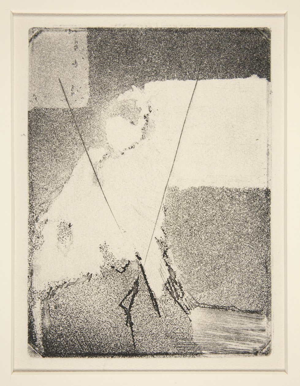 Donna seduta con cappello e scialle da Edgar Degas