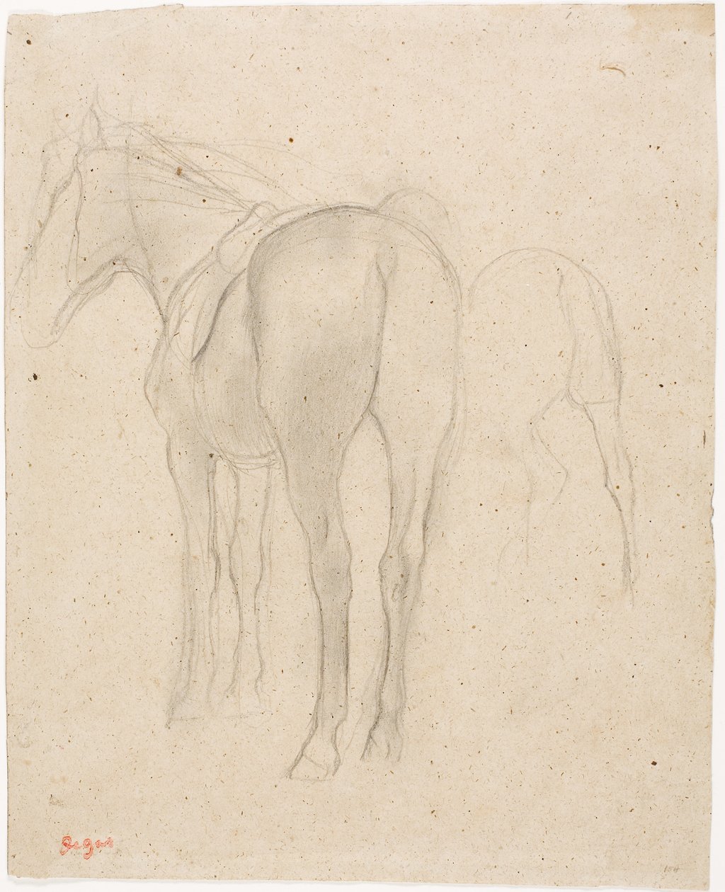 Studi di un cavallo da Edgar Degas