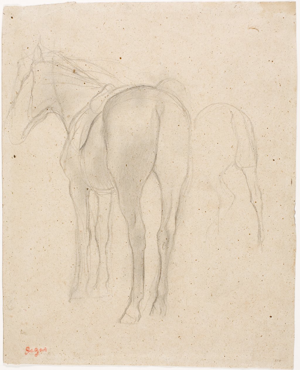 Studi su un cavallo da Edgar Degas