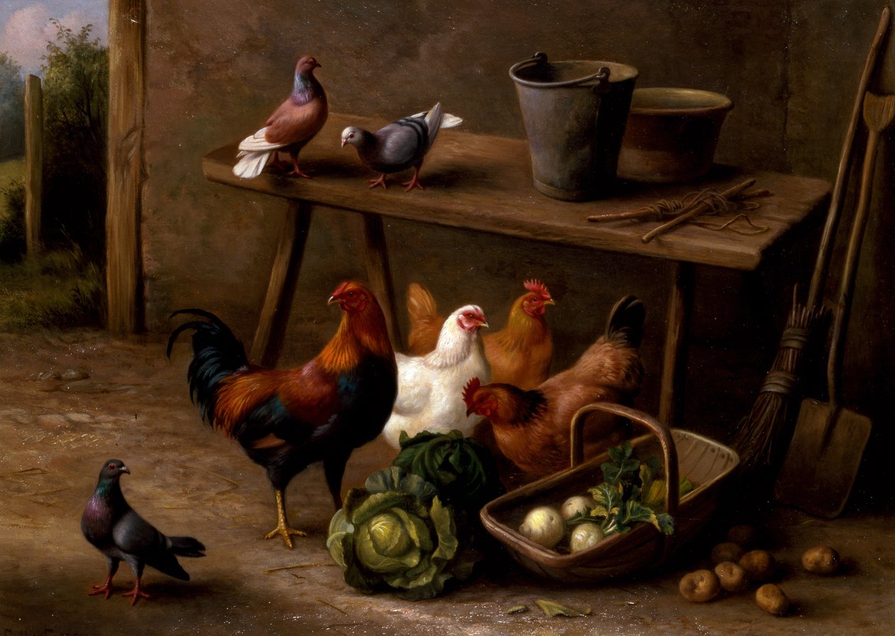 Polli, piccioni e colombe da Edgar Hunt