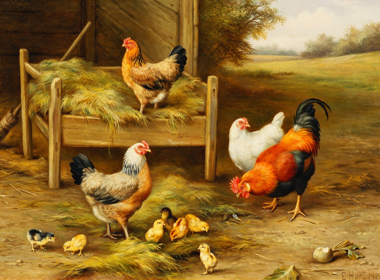 Polli e pulcini che si nutrono da Edgar Hunt