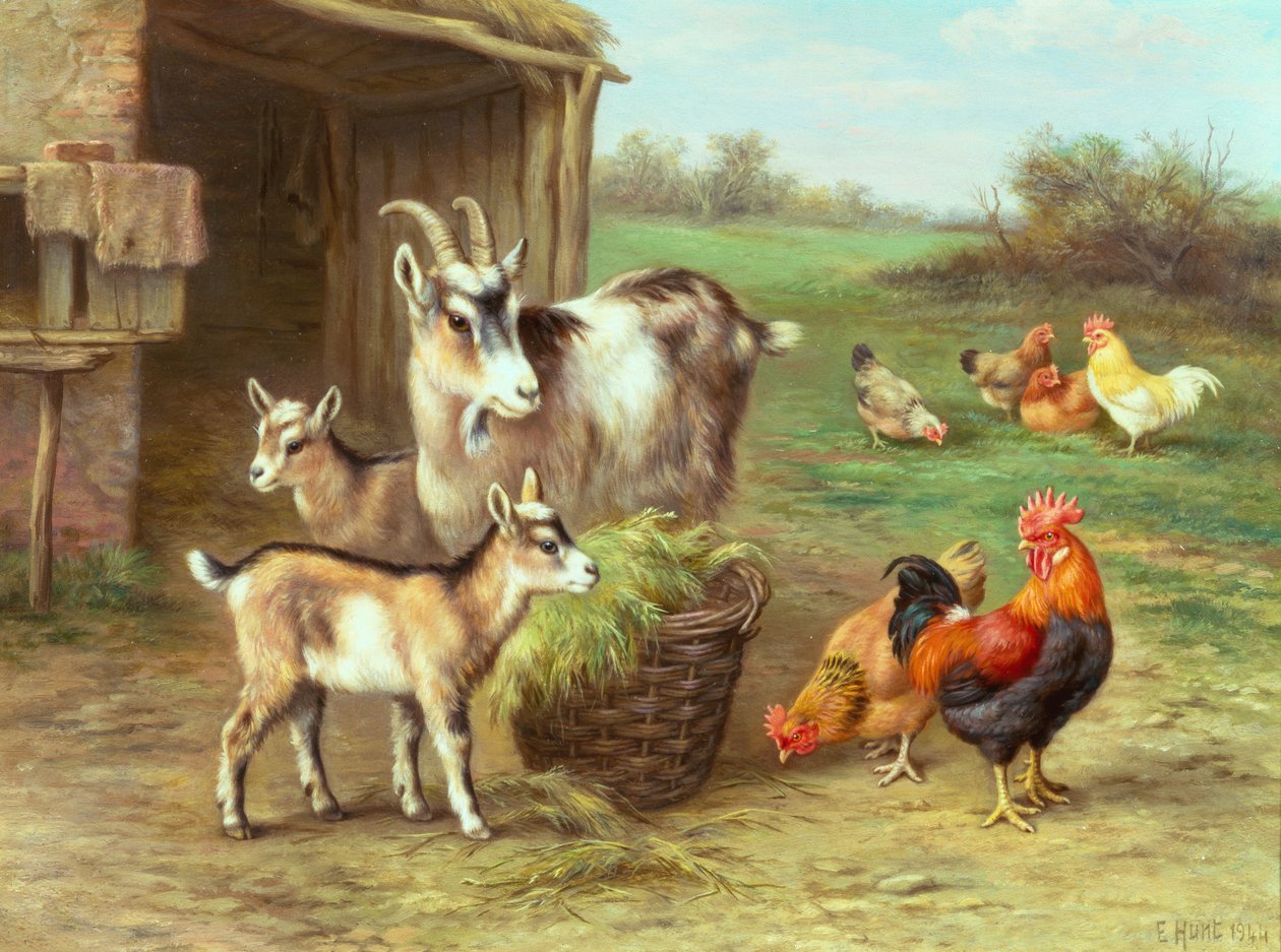 Polli e capre che si nutrono in un cortile da Edgar Hunt