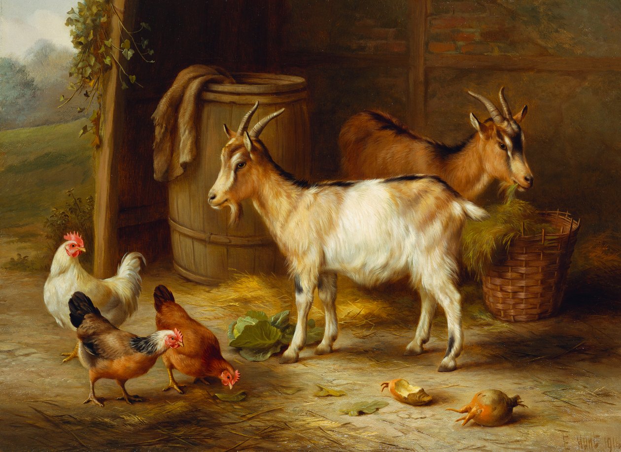 Polli e capre vicino a una porta del fienile da Edgar Hunt