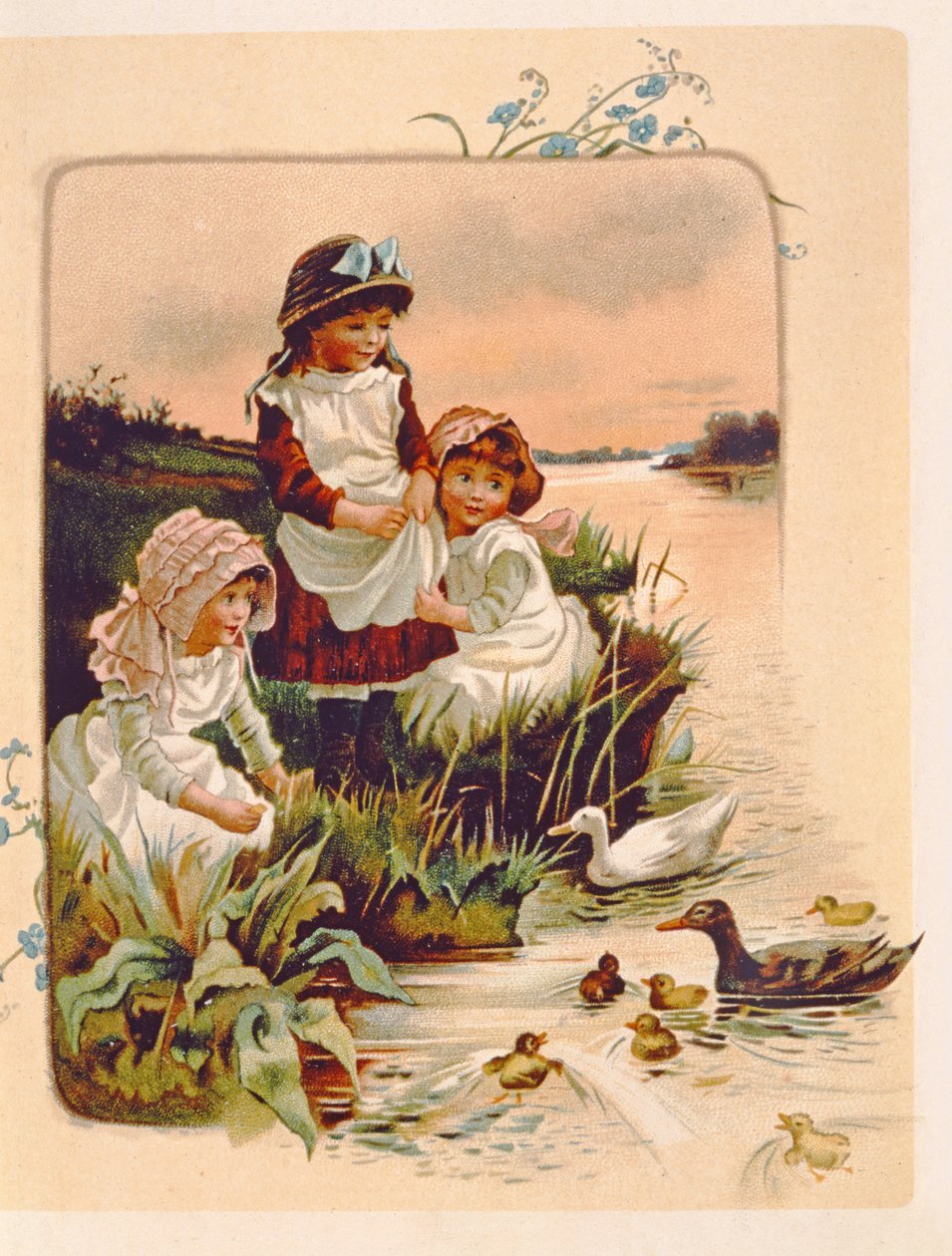 Nutrire le anatre, illustrazione da 