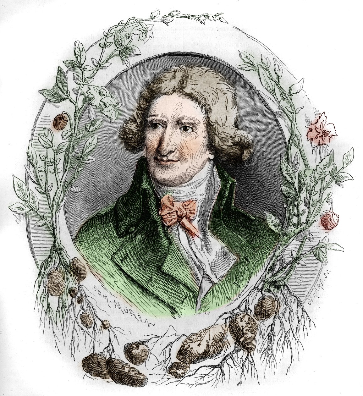 Ritratto di Antoine Augustin Parmentier (1737-1813), farmacista militare e agronomo francese. Incisione di Edmond Morin da Edmond Morin