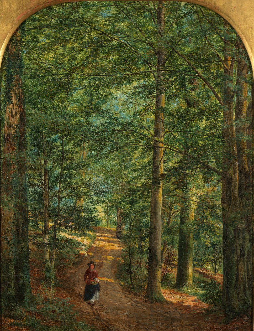 Nel bosco da Edmund George Warren
