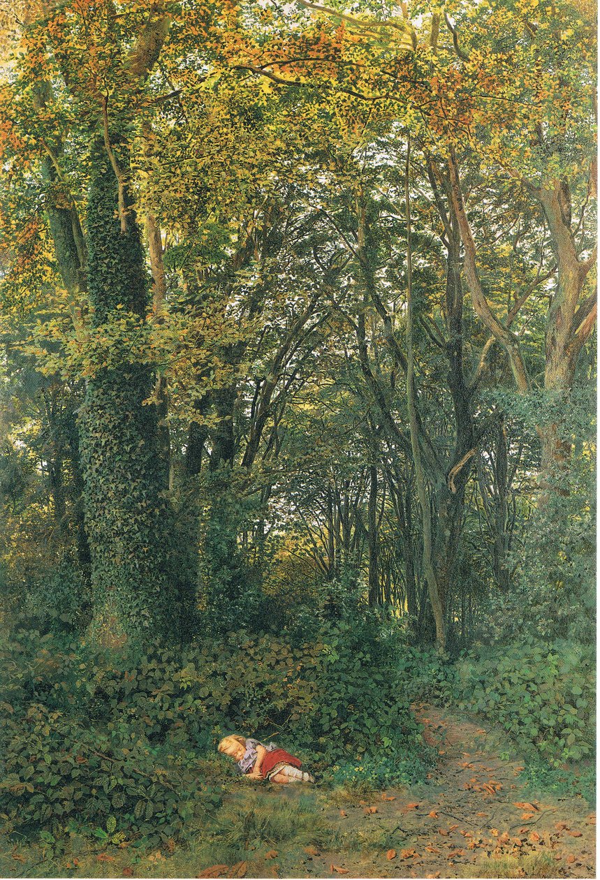 Perso nel bosco da Edmund George Warren