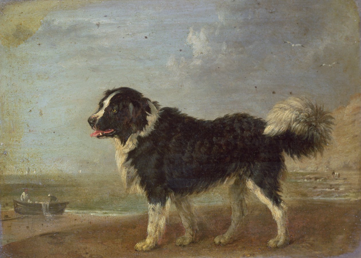 Immagine sconosciuta da Edmund Bristow