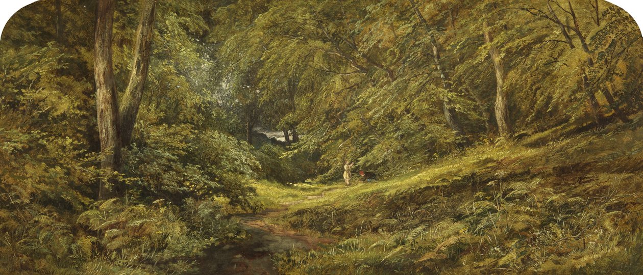 Schizzo - Nel bosco da Edmund G. Muller