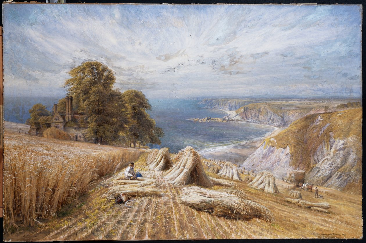 Raccolta sulla costa meridionale, 1869 da Edmund George Warren