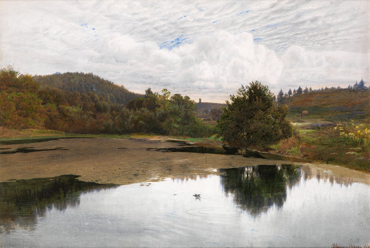 Leith Hill, da Broadmoor, Surrey da Edmund George Warren