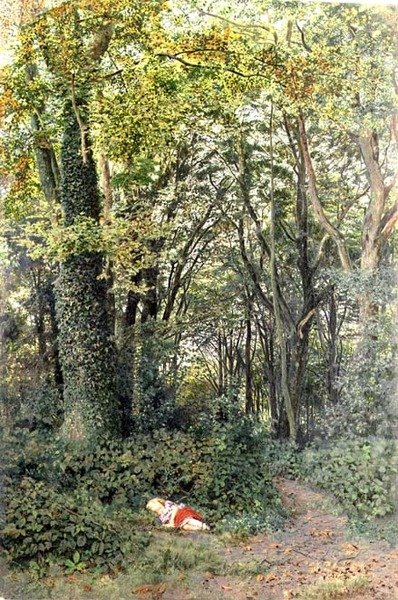 Perso nei boschi da Edmund George Warren