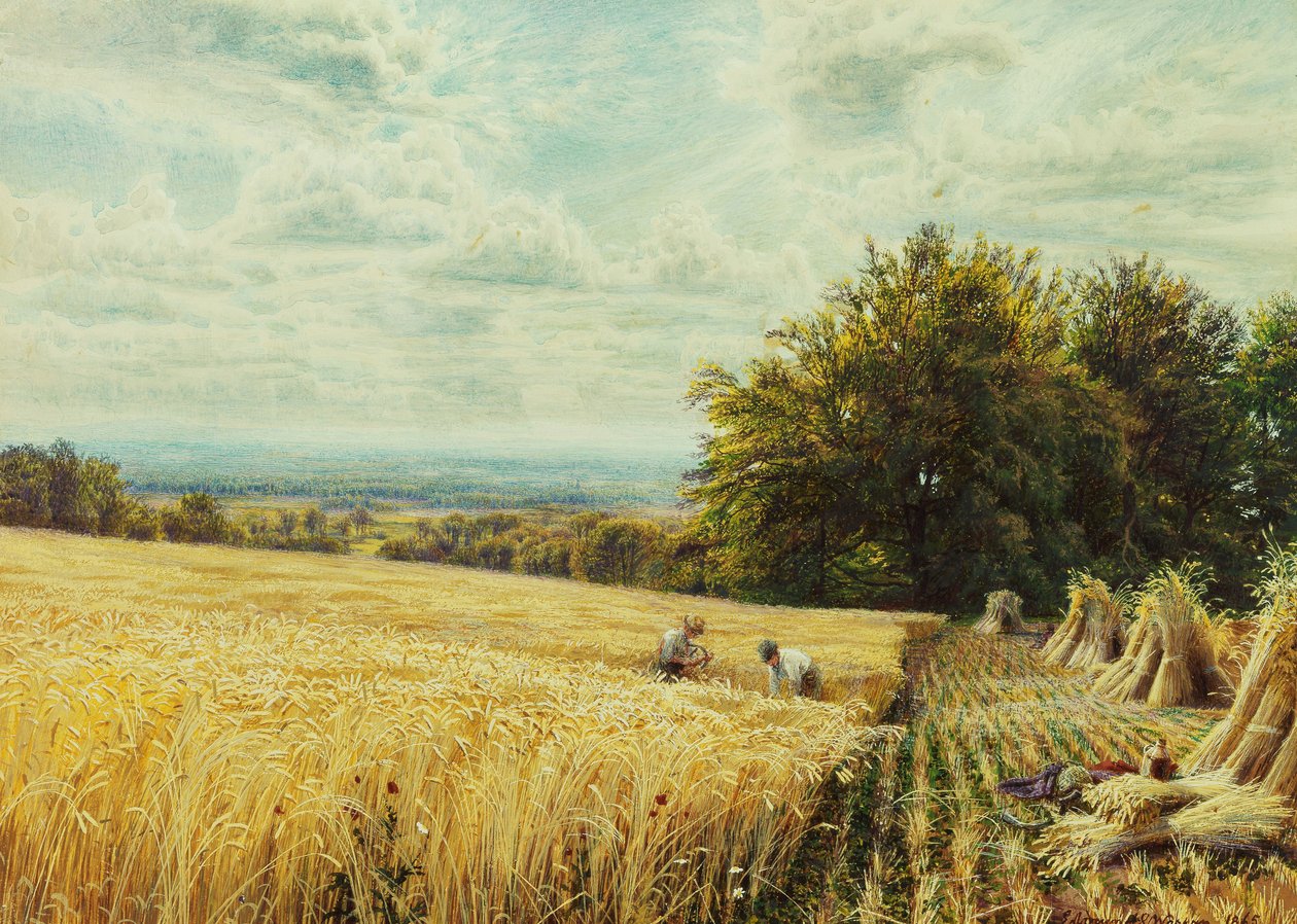 I mietitori, 1865 da Edmund George Warren