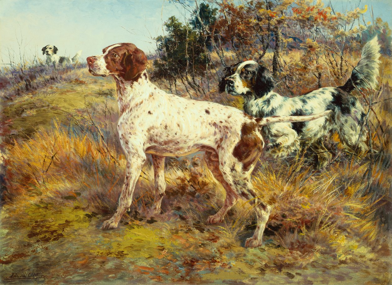 Un Pointer tedesco a pelo corto e due Setter in un paesaggio (olio su tela) da Edmund Henry Osthaus