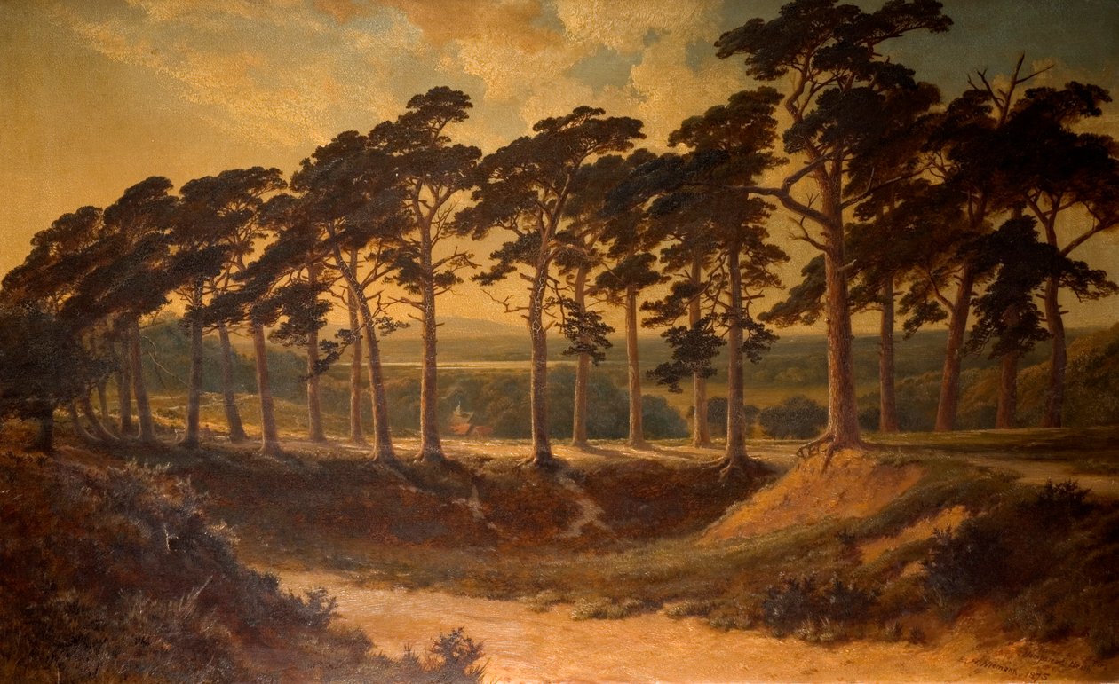 Harrow dal primo, Hampstead Heath, 1875 da Edmund John Niemann