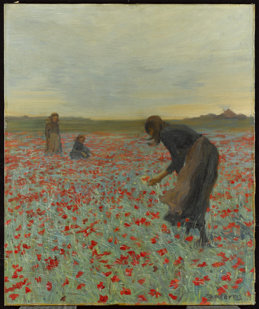 Ragazze in un campo di papaveri da Edmund Montague Morris