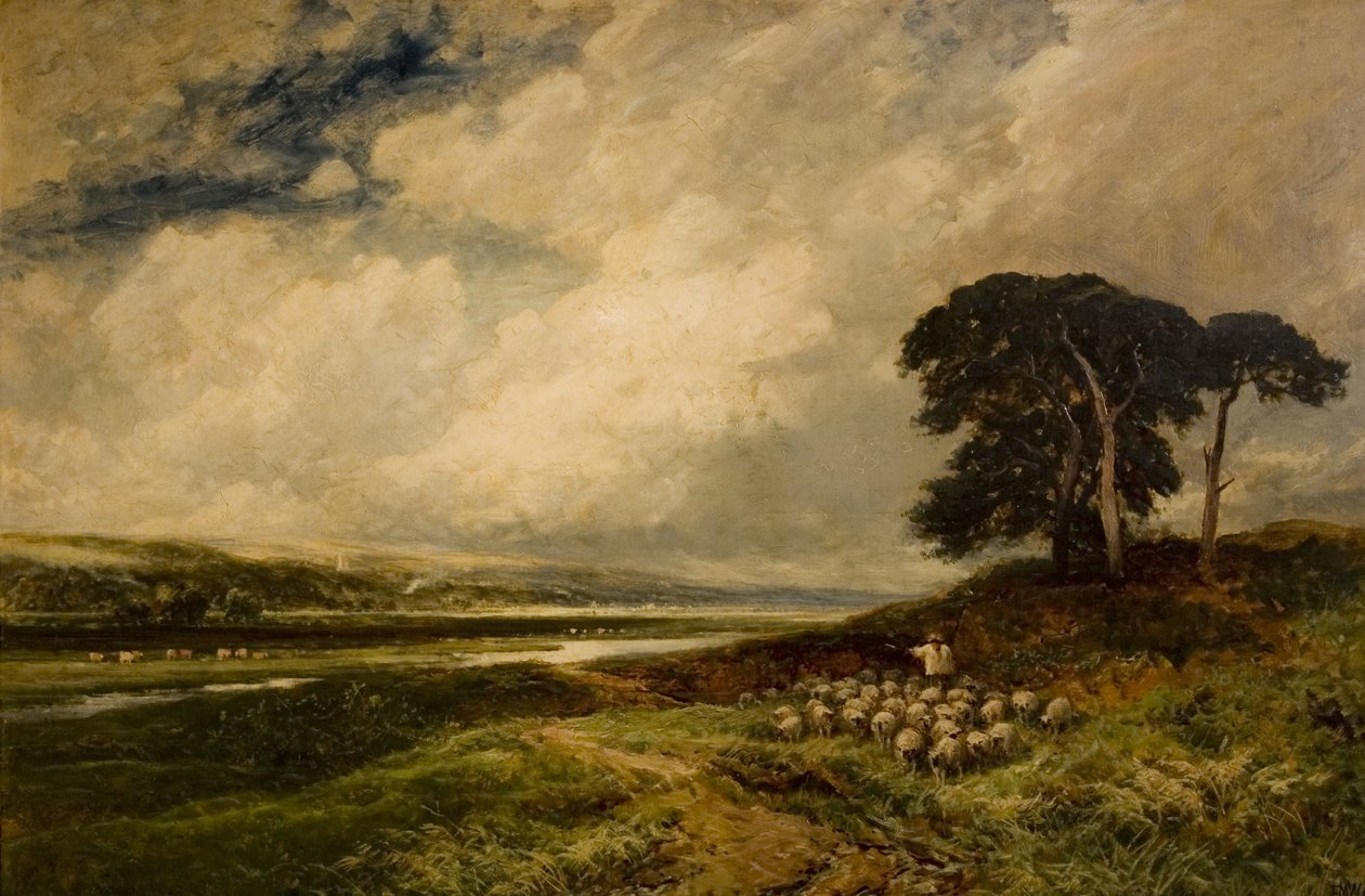 Paesaggio con pecore da Edmund Morison Wimperis