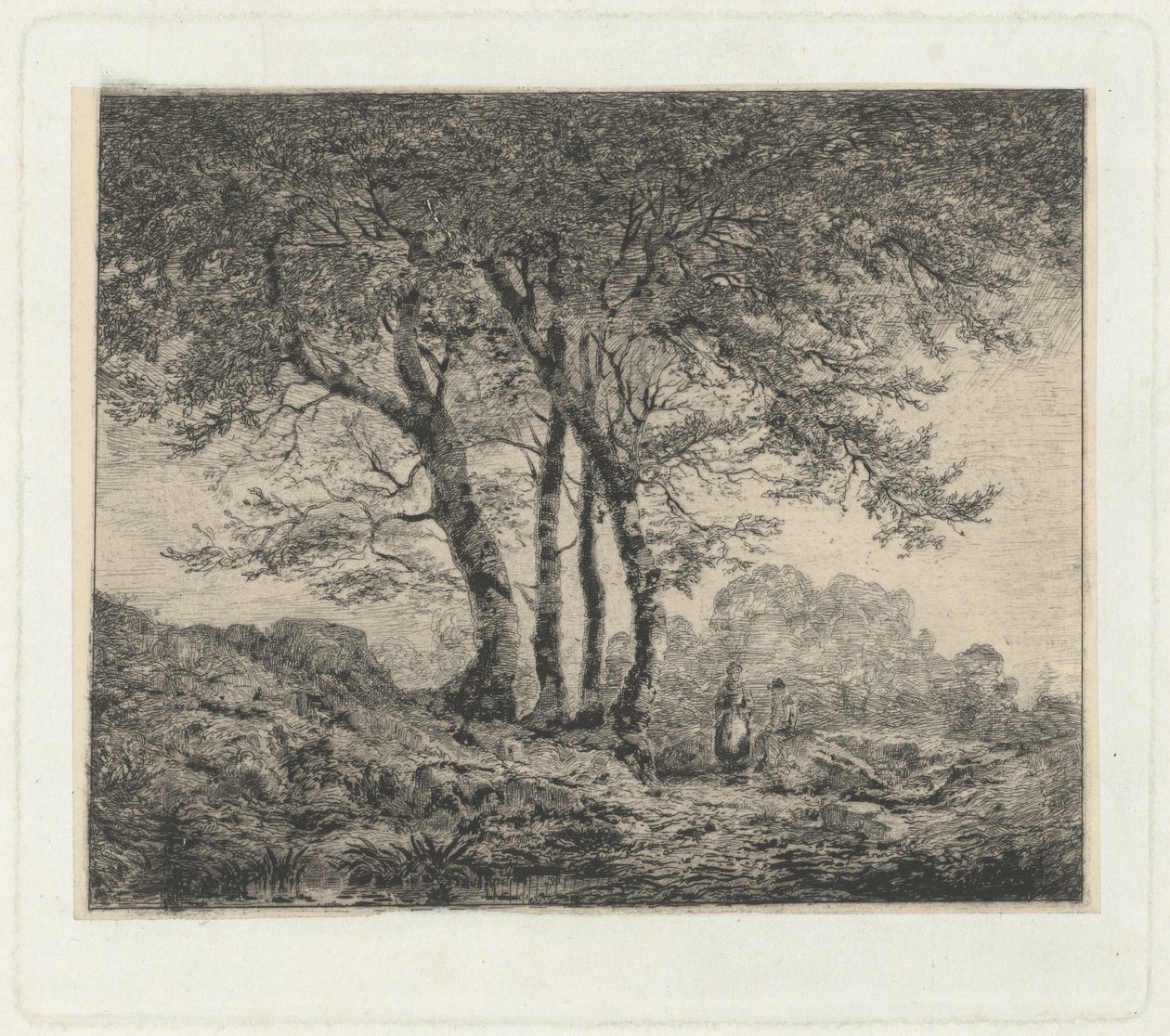 In montagna da Edoardo Perotti