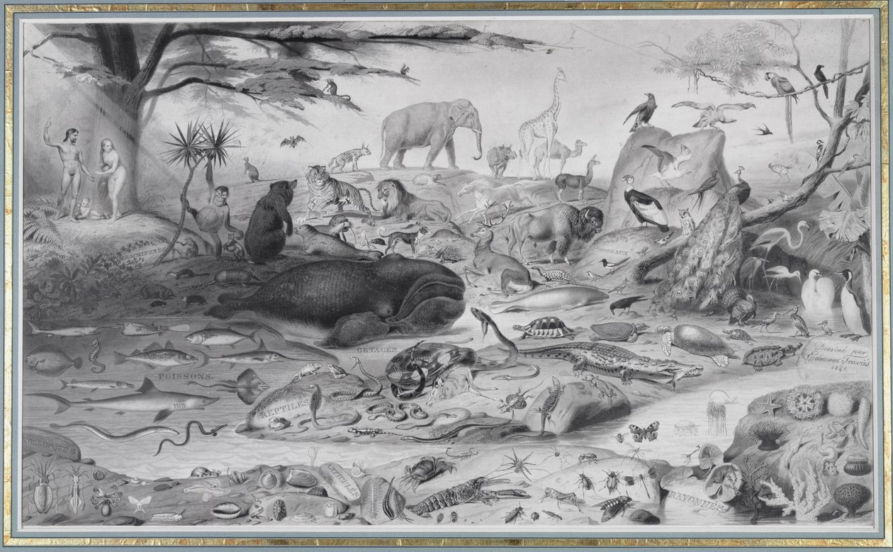 Adamo ed Eva e gli animali, 1841 da Edouard Travies