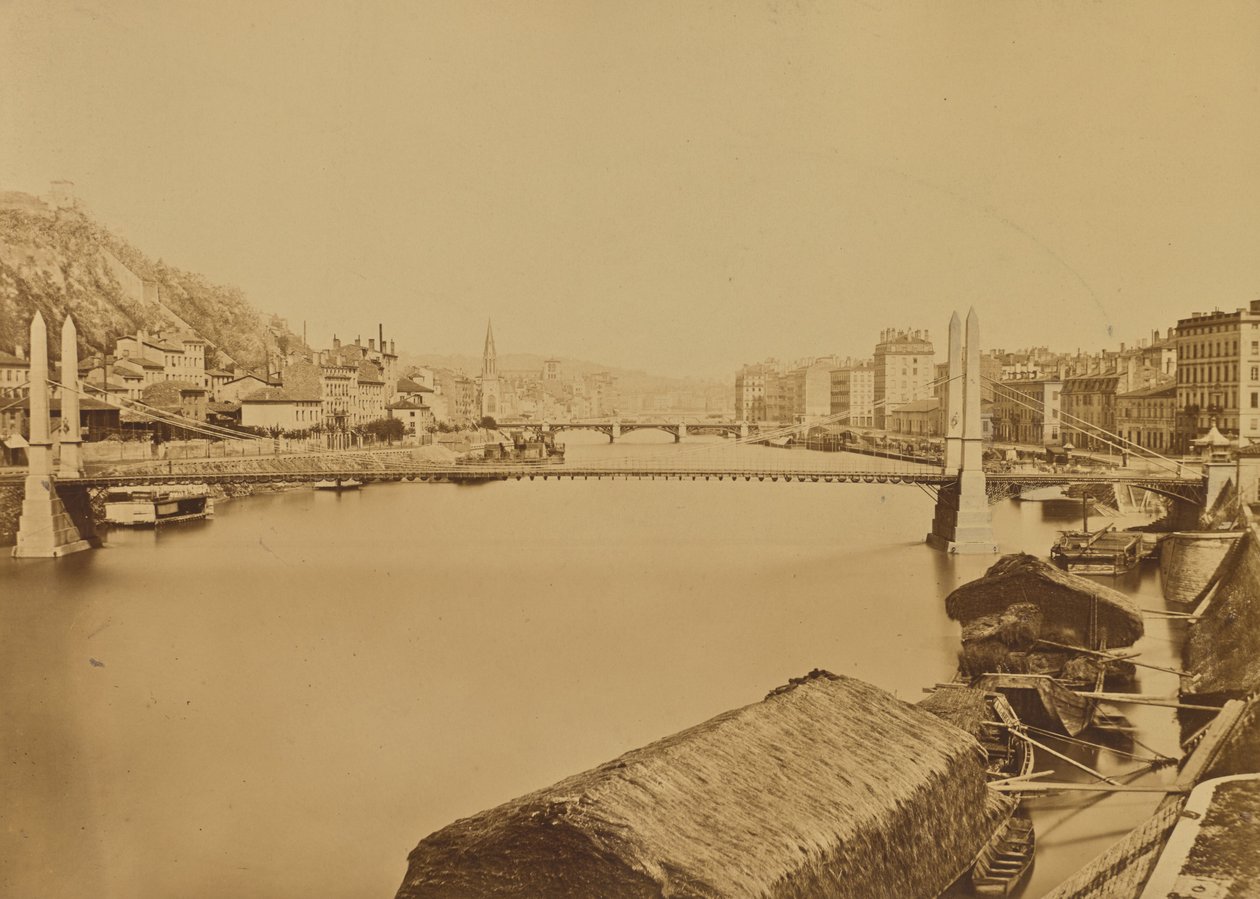 Lione da Édouard Baldus