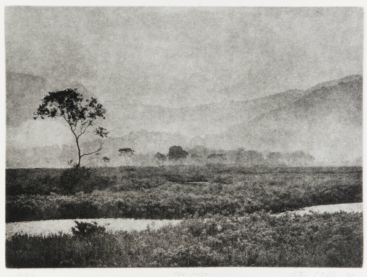 Nebbia a Oze, 1993 da Edouard Cremieux