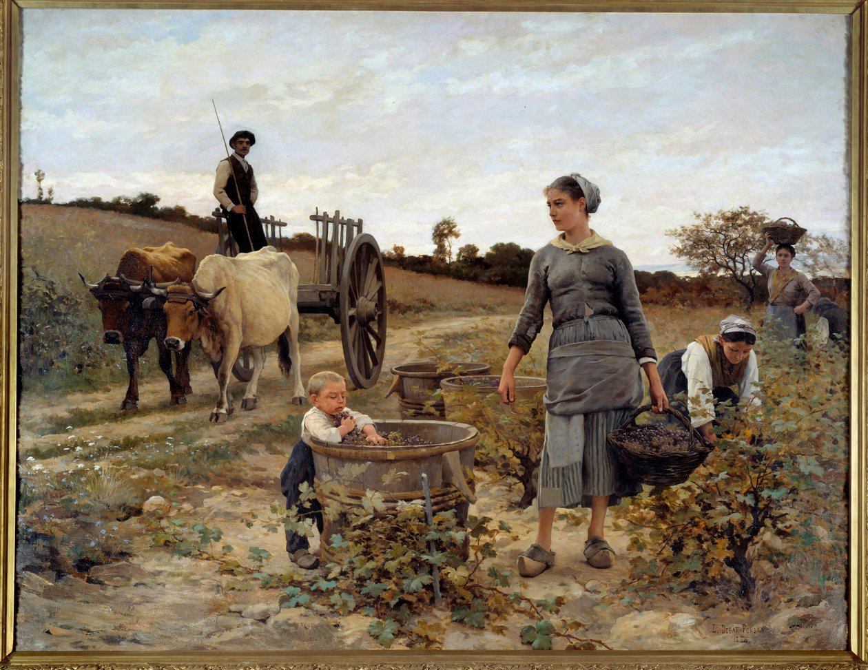 Angolo di vigna in Linguadoca Dipinto di Edouard Debat Ponsan (1847-1913) 1886 Nantes, Museo delle Belle Arti da Edouard Debat-Ponsan