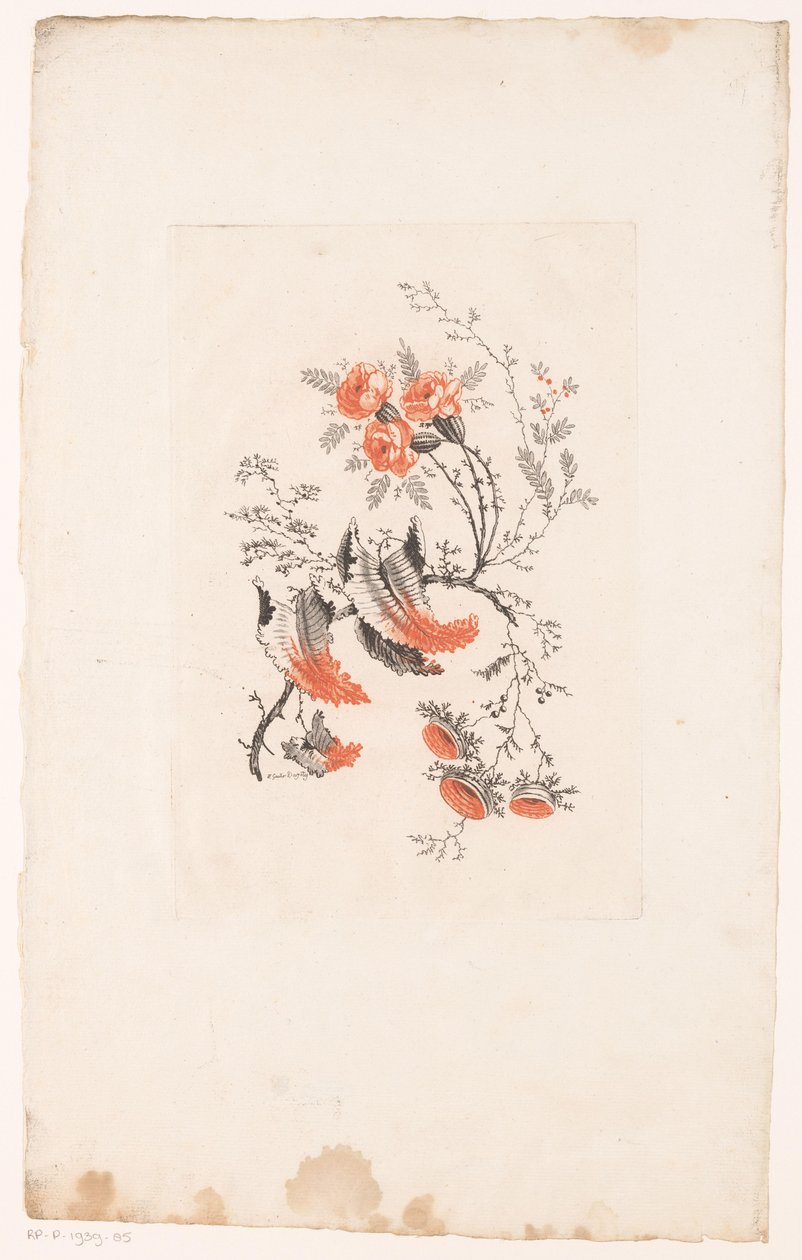 Fiori fantastici (Fleurs Idéales) da Edouard Gautier Dagoty