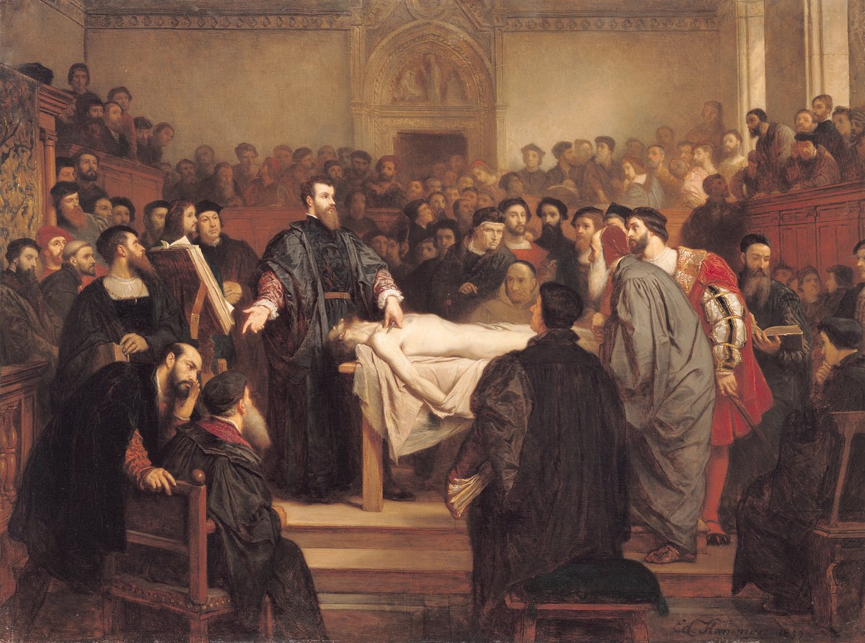 Andreas Vesalius (1514-64) a Padova, 1859 da Edouard Jean Conrad Hamman