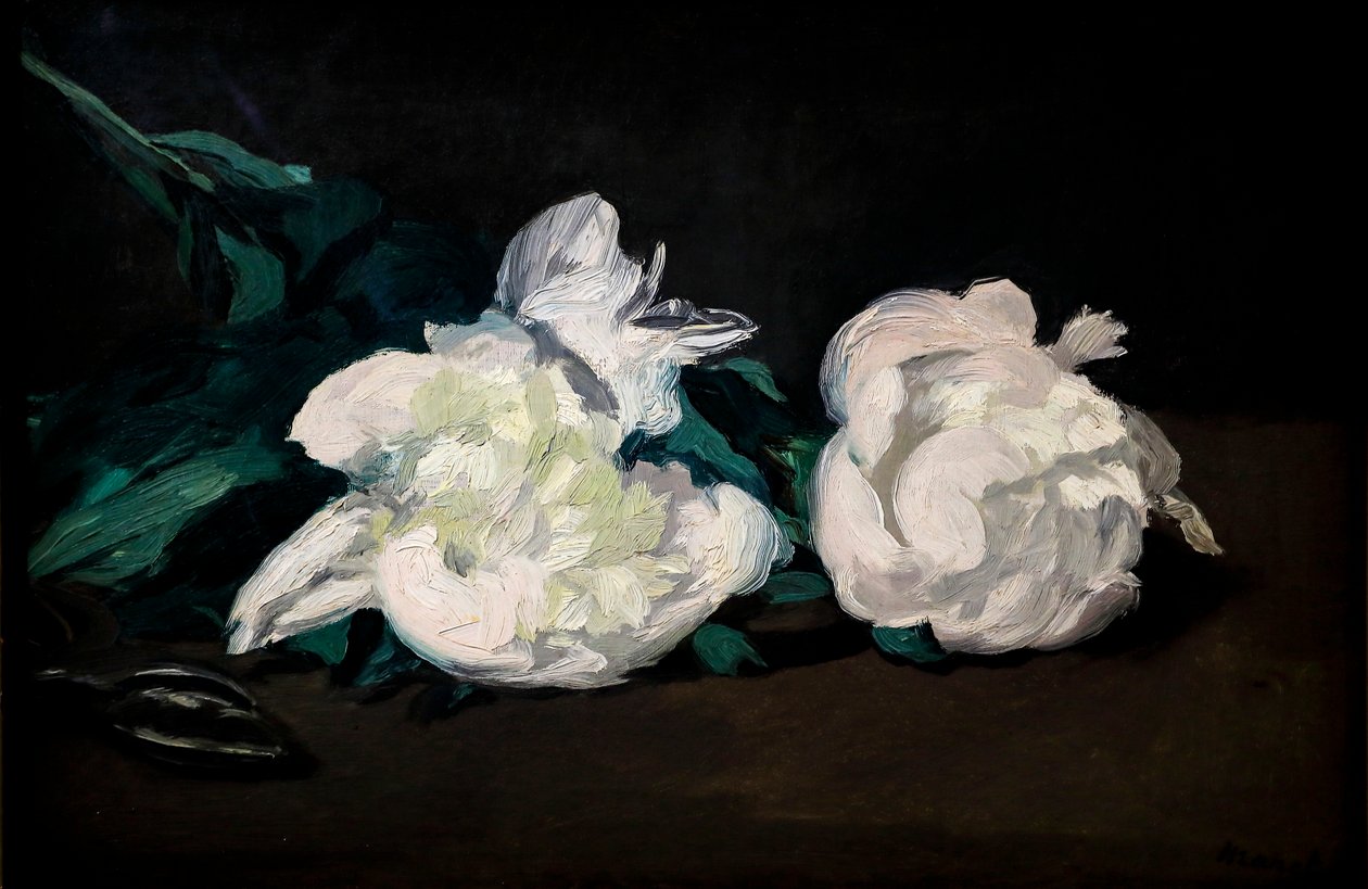 Ramo di peonie bianche e cesoie da Édouard Manet