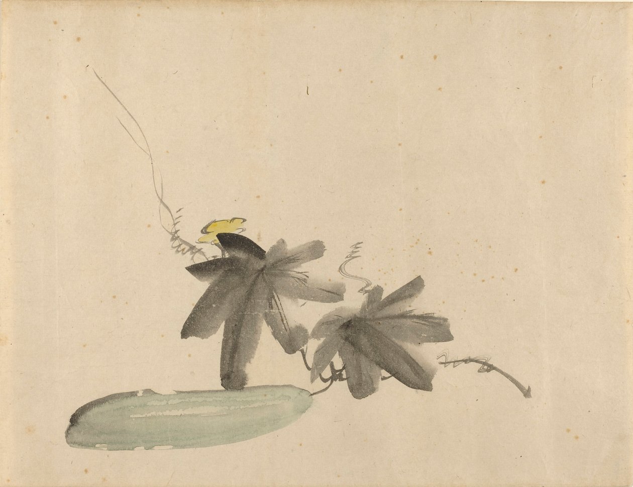 Cetriolo con foglie da Édouard Manet